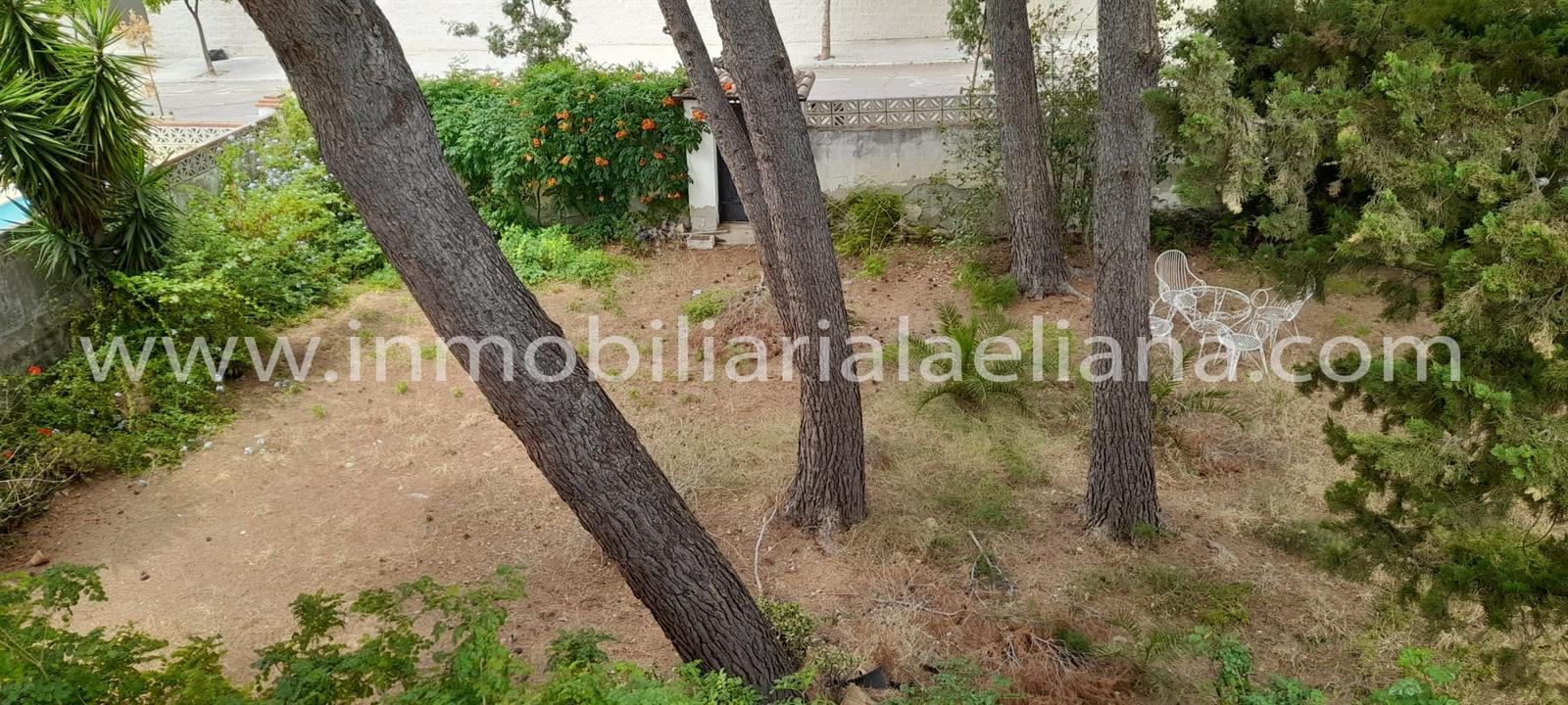 Foto 1 de la propiedad